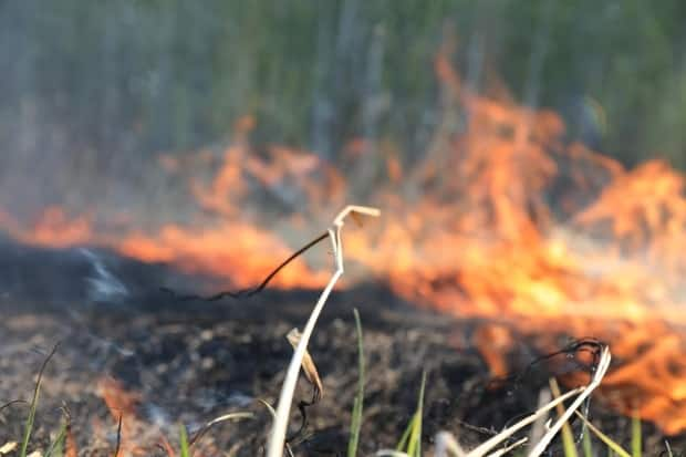 Firefighters will have to contend with high temperatures and winds as they battle to contain the fire.