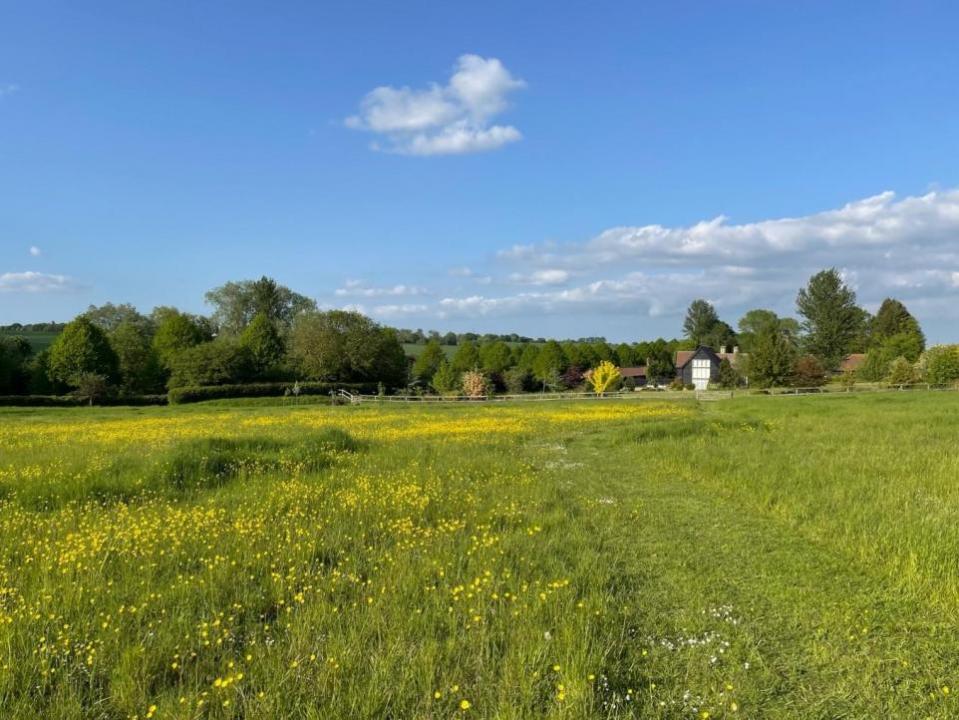 East Anglian Daily Times: The grounds include a large meadow