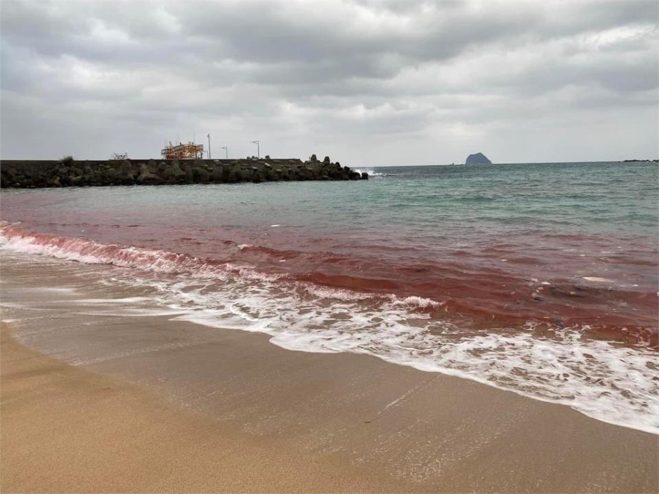 民眾嚇壞！基隆大武崙沙灘變「紅海」 釀禍原因曝光