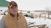 Down in the dumps: Alberta landowner has spent decades surrounded by gulls and garbage