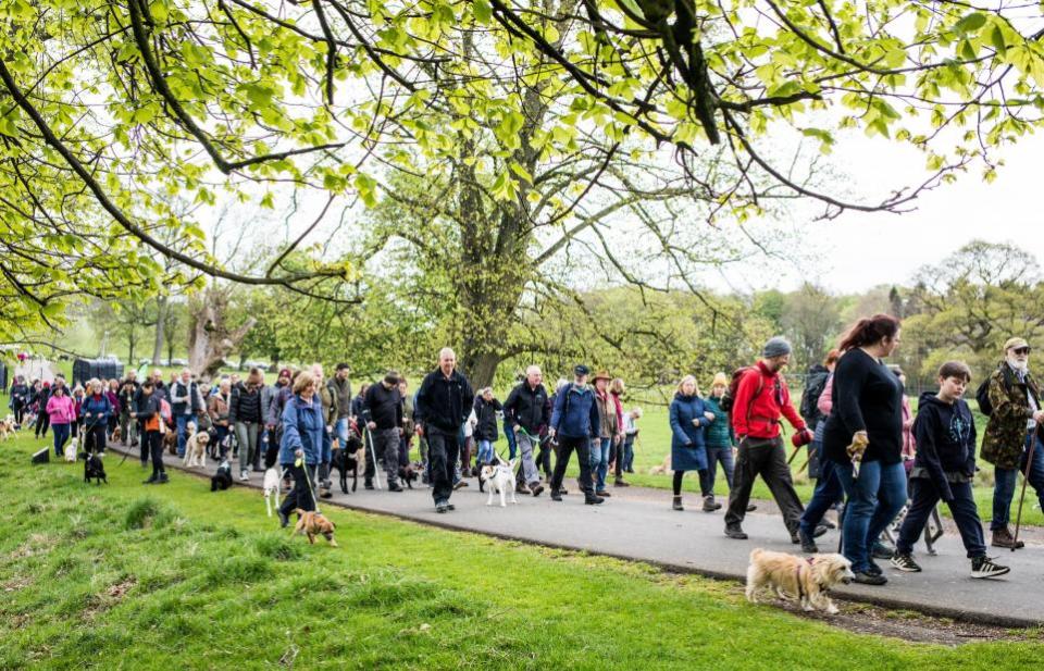The Northern Echo: The Raby Castle Great British Dog Walk in aid of Hearing Dogs for Deaf People.