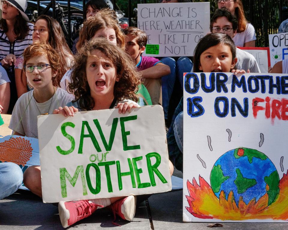 Aaron Elavera Thomases (“Save Our Mother”), who has been striking since March 2019, at a Fridays for Future strike at City Hall, New York City, September 27, 2019.