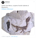 Da Jurassic Park storpiato in Cellino San Park, fino allo sterminio dei dinosauri con l'acuto di "Felicità", ecco i meme che stanno dilagando…