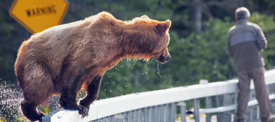 ‘A foolish, foolish game to play’: 4 tips for bearing this bear market while keeping out of trouble