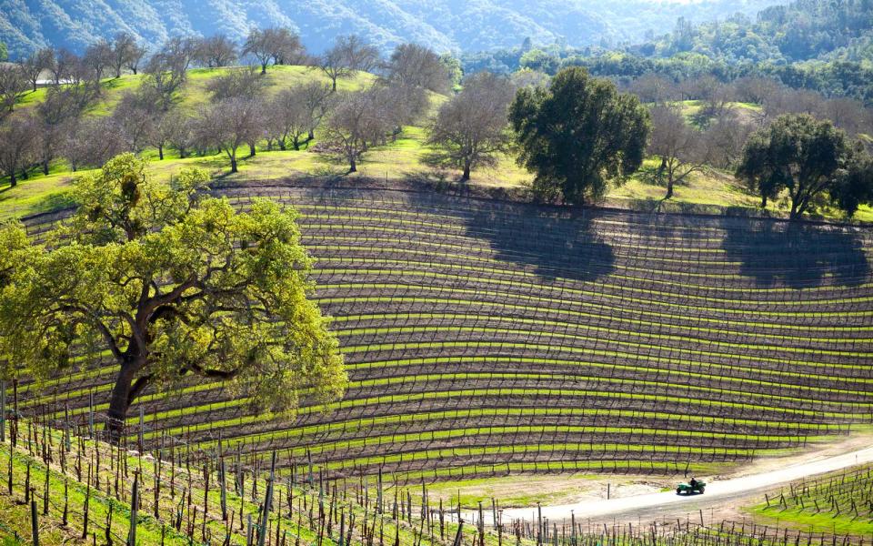 Paso Robles, California