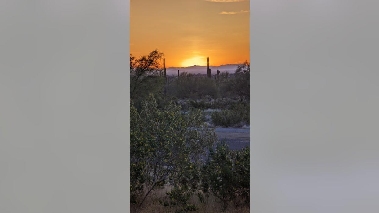 <div>Jason DeBus took this while on a sunrise hike in White Tanks Mountain Regional Park. Stunning!</div>