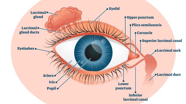 Benefits of UV Protection for Your Eyes - Murrieta Optometrist