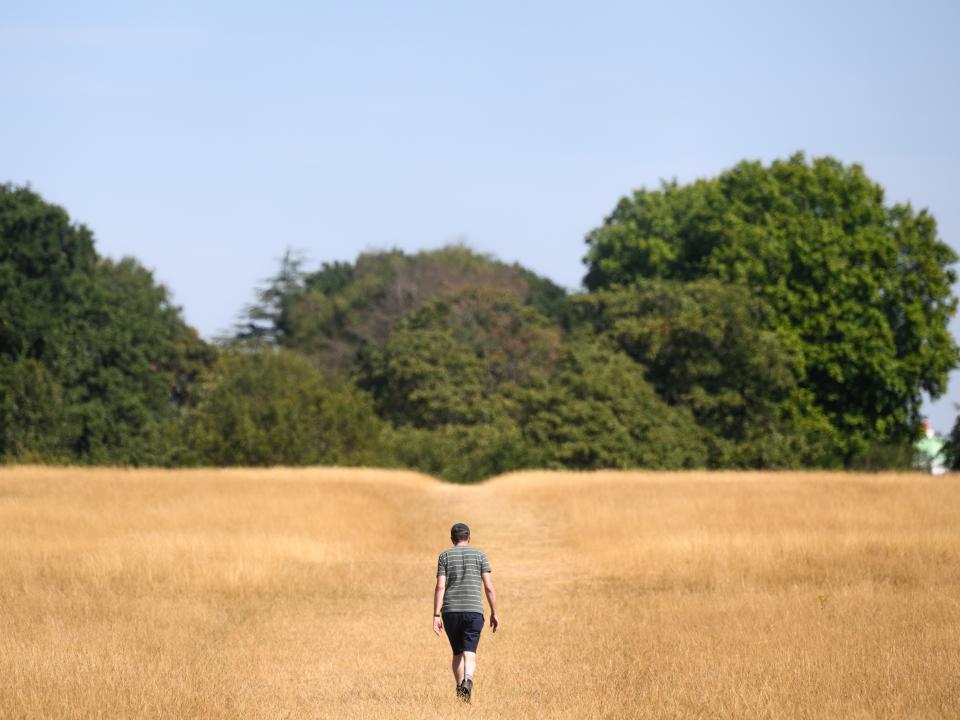 Richmond Park’s grass has been sun-bleached in the dry and hot conditions (Getty Images)