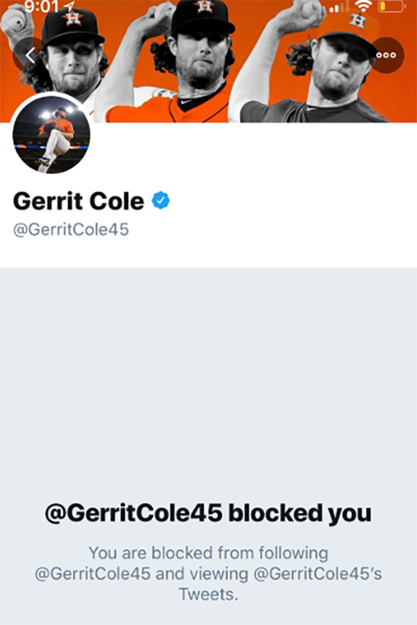 Julia Rose's Twitter account, pictured here after being blocked by Gerrit Cole.