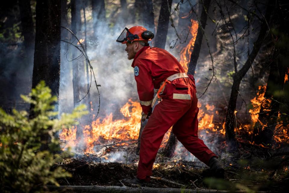 A recruit works as part of an initial attack team tasked with containing and extinguishing an intentionally lit fire in a forest near Merrit on Thursday during a training exercise.