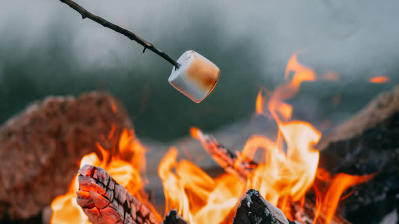 Roasting marshmallows over flame