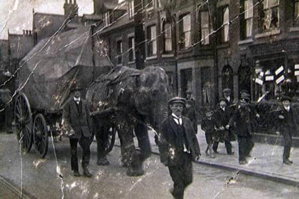 The Bostock and Wombwell Menagerie was a travelling exhibition of exotic animals (National Fairground  Circus Archive)