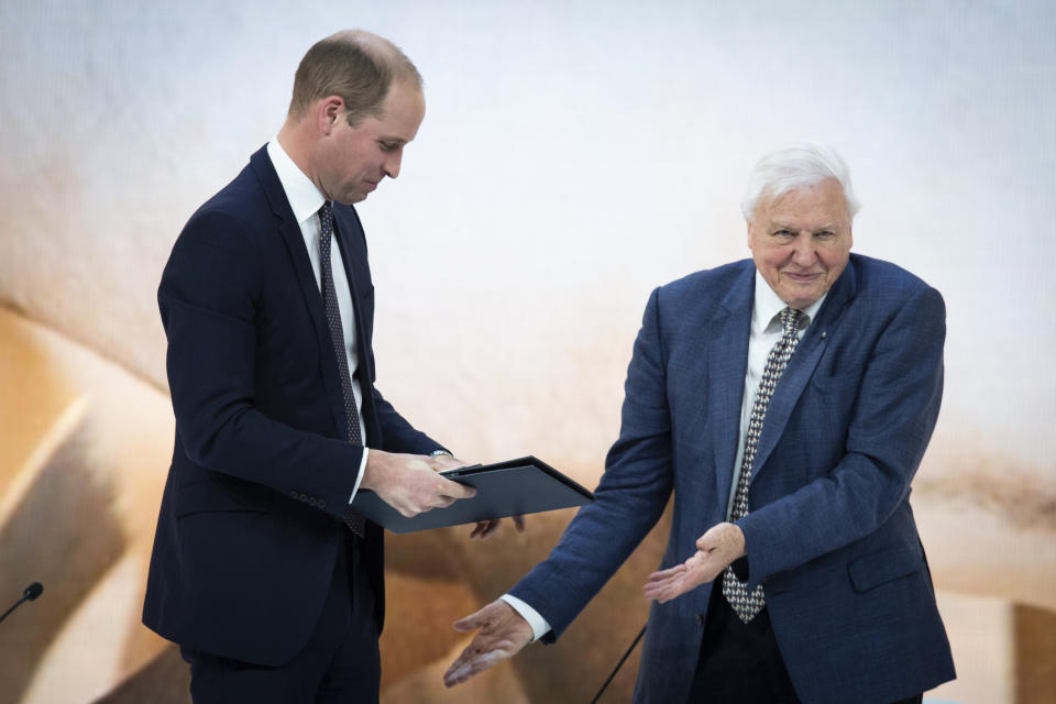 Britain's Prince William, left, and Sir David Attenborough, broadcaster and natural historian, attend a session at the annual meeting of the World Economic Forum in Davos, Switzerland, Tuesday, Jan. 22, 2019. (Gian Ehrenzeller/Keystone via AP)