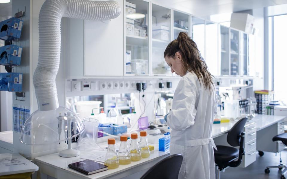 A scientist testing samples in Denmark - Thibault Savary/AFP