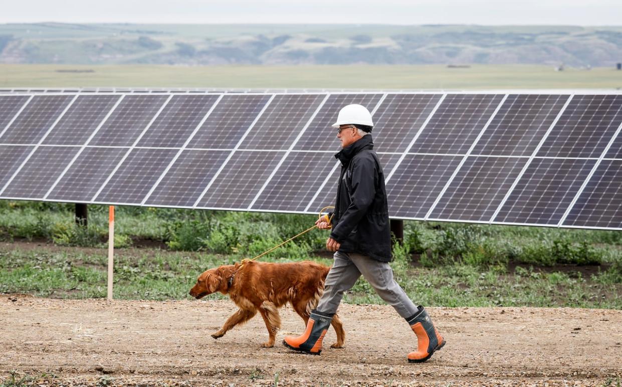 In a file photo, landowner Duane Olson and his dog Bella walk past solar panels at the opening of the Michichi Solar project near Drumheller, Alta. on July 11. (Jeff McIntosh/The Canadian Press - image credit)