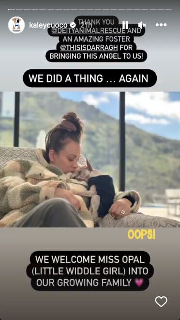 Pregnant Kaley Cuoco and Boyfriend Tom Pelphrey Adopt New Rescue Dog Before Baby's Arrival: 'We Did a Thing...Again'  Kaley & Tom: https://www.instagram.com/stories/kaleycuoco/3050048938832753003/  https://www.instagram.com/stories/kaleycuoco/3050044545426068668/  https://www.instagram.com/stories/kaleycuoco/3050046902019950066/ 