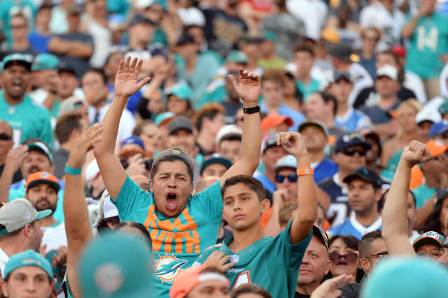 Dolphins fans get well deserved shoutout on 'Good Morning Football'