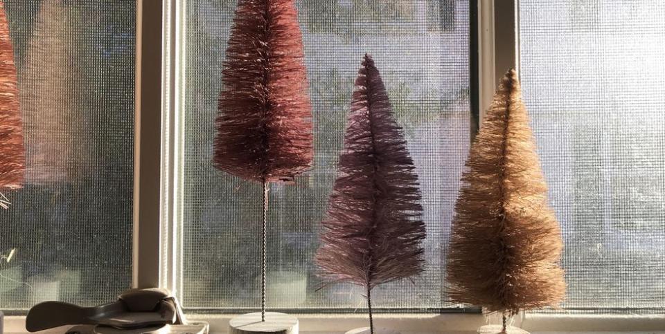 Bottle Brush Trees