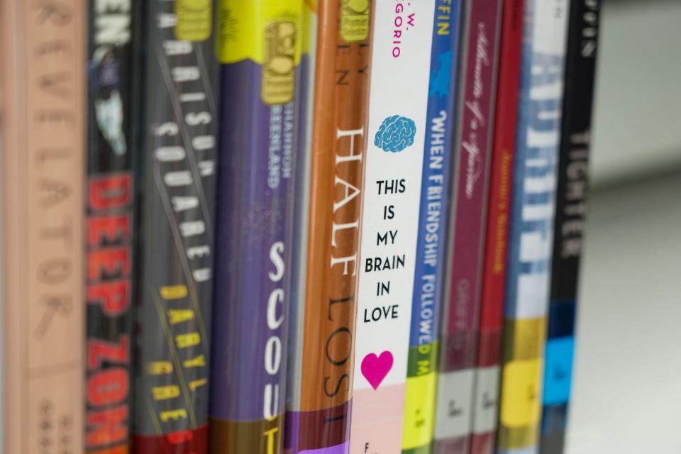 For those seeking to ban certain books from school libraries, the renewed focus on the content's appropriateness is essential to protecting students from obscene, even pornographic material.