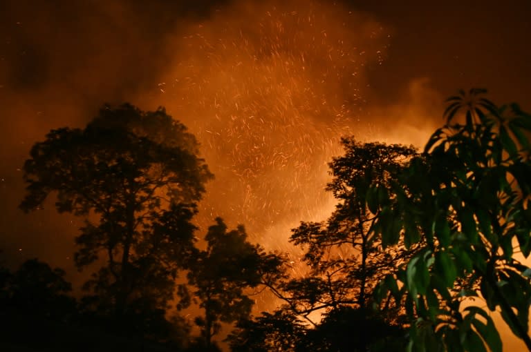 In einem Vorort von Nepals Hauptstadt Kathmandu ist ein schwerer Waldbrand ausgebrochen. (PRAKASH MATHEMA)