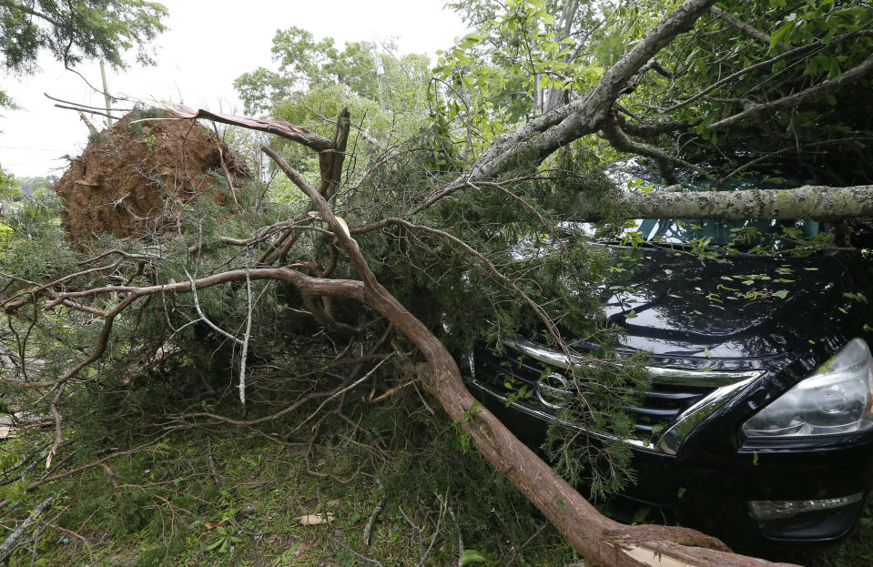 Tree limbs await removal so insurance adjusters can review the damage from Saturday's storm, in Flora, Miss., Sunday, April 14, 2019. The storm was one of several that hit the state. (AP Photo/Rogelio V. Solis)