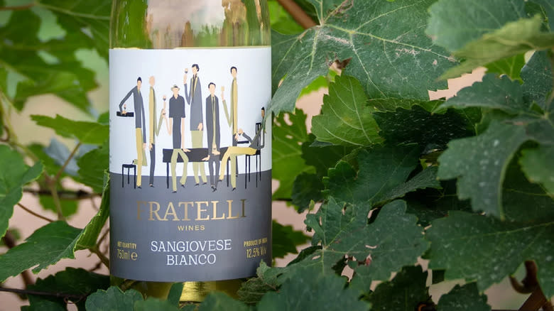 Bottle of Sangiovese Bianco surrounded by vine leaves 