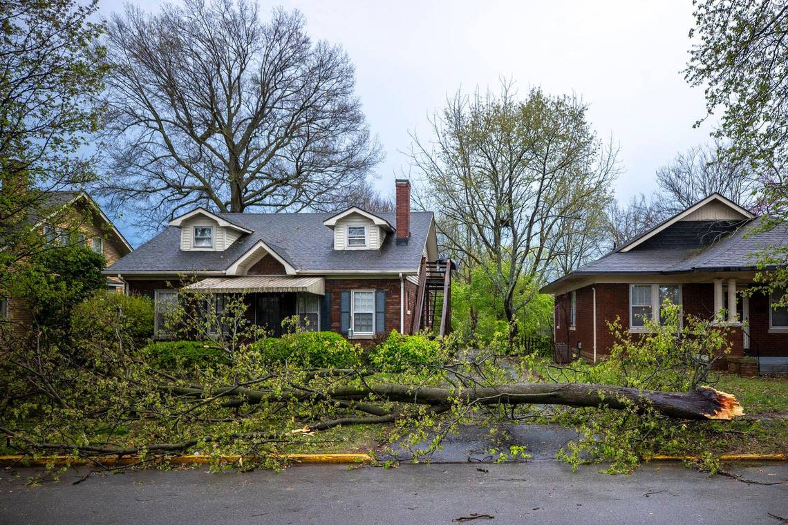 Branches are down afte a storm passed through Lexington, Ky., on Tuesday, April 2, 2024.