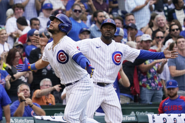 Despite Late Rally and Franmil Reyes Home Run, Chicago Cubs Lose