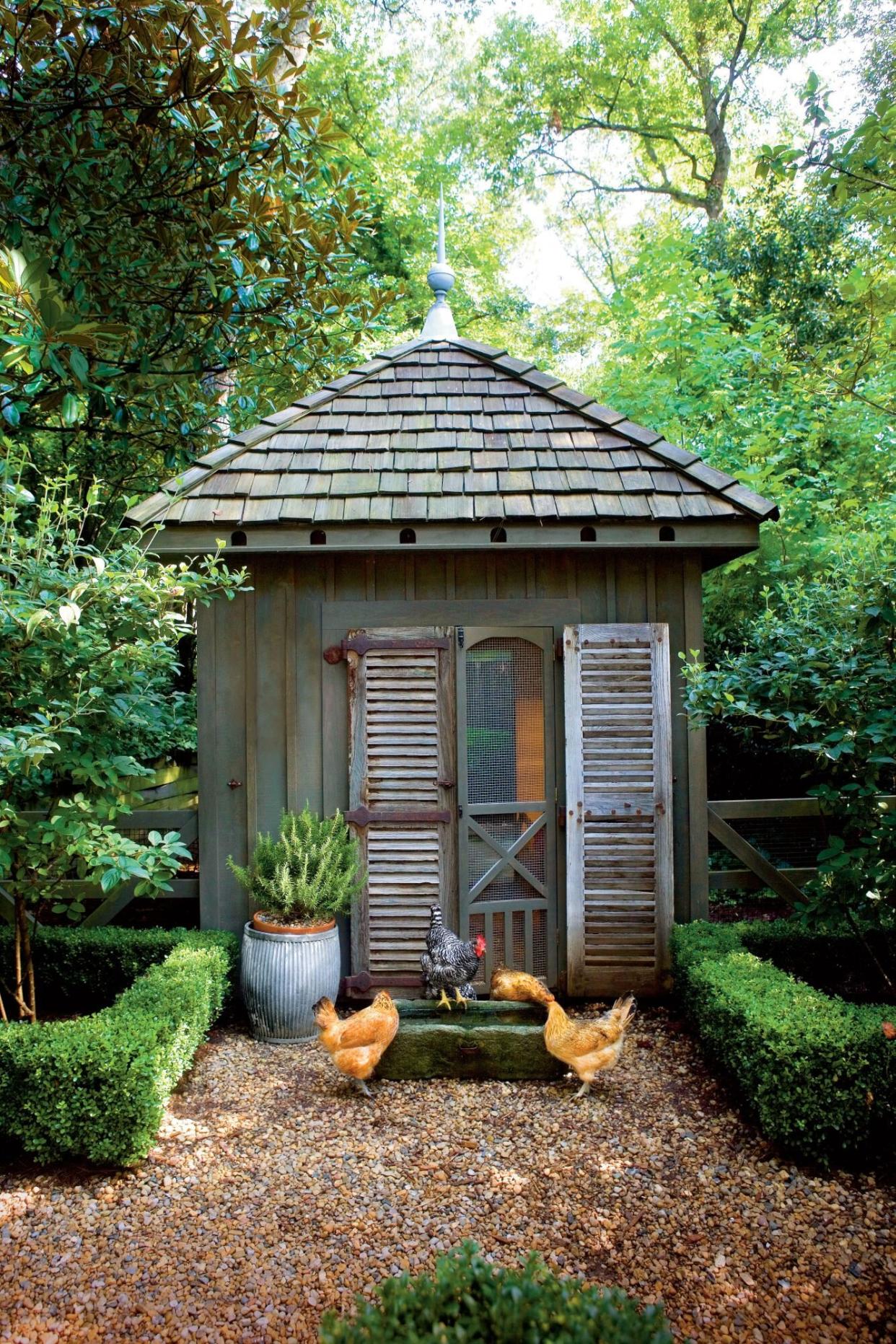 Chicken Coop