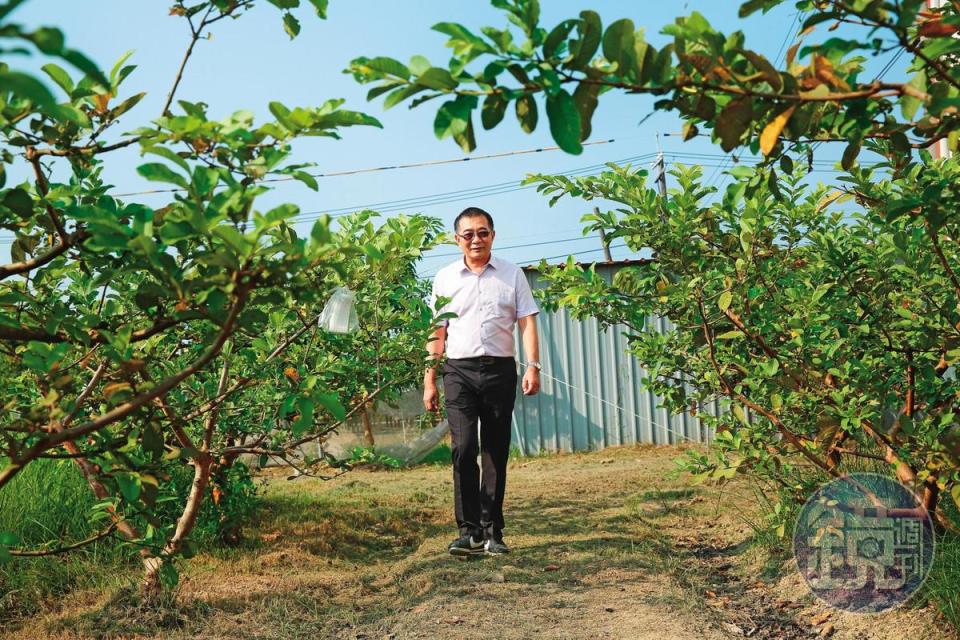 農家子弟出身的鄭鴻君喜歡種果樹，模具廠旁的果園裡至少栽種10種以上果樹，每季都有當令水果可吃。