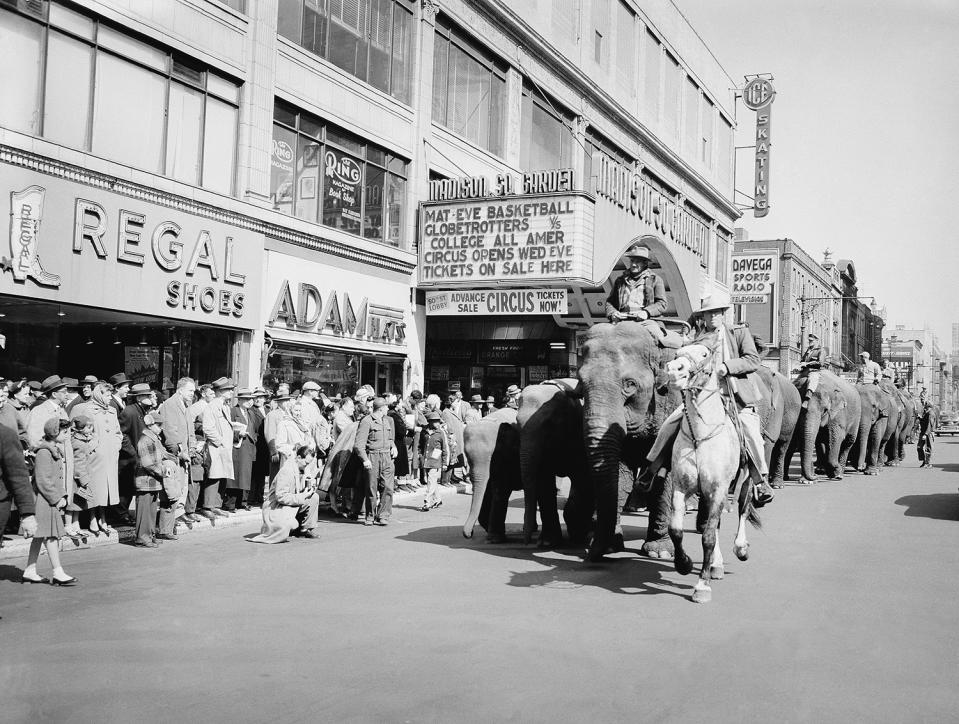 <p>Arkie Scott astride his horse, Harold, leads a parade of elephants down Eighth Avenue at Madison Square Garden in New York, March 28, 1954. The Ringling Brothers and Barnum and Bailey Circus came to town for a 40-Day engagement. (AP Photo/Jacob Harris) </p>