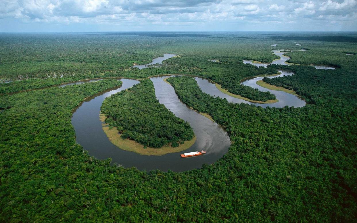 Meanders in the Amazon River near Manaus, Brazil