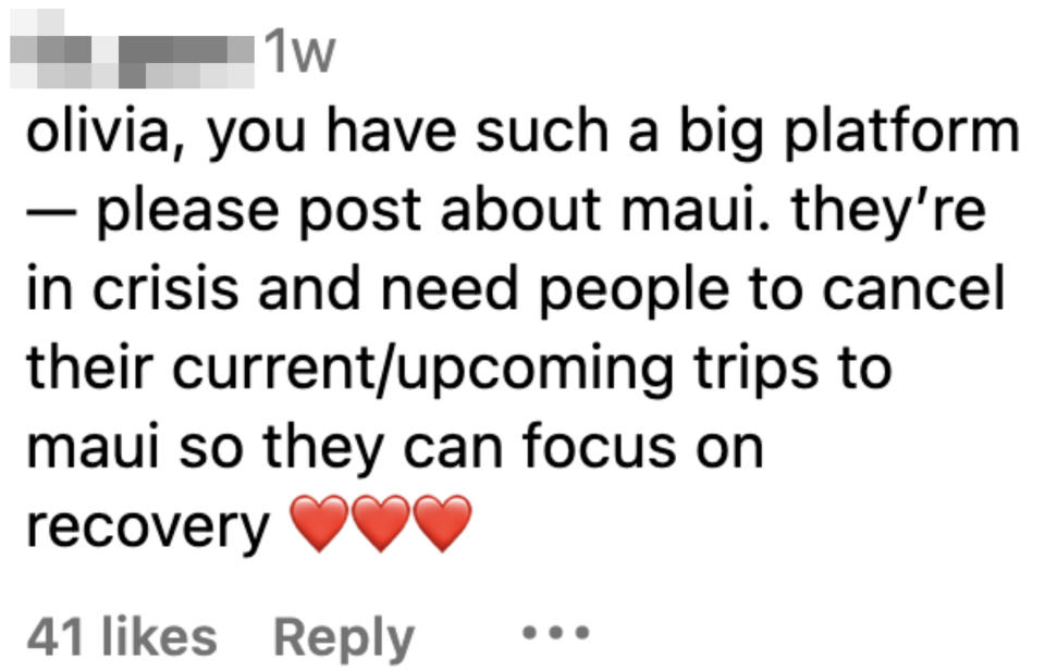 "You have such a big platform — please post about Maui; they're in crisis and need people to cancel their current/upcoming trips so they can focus on recovery"
