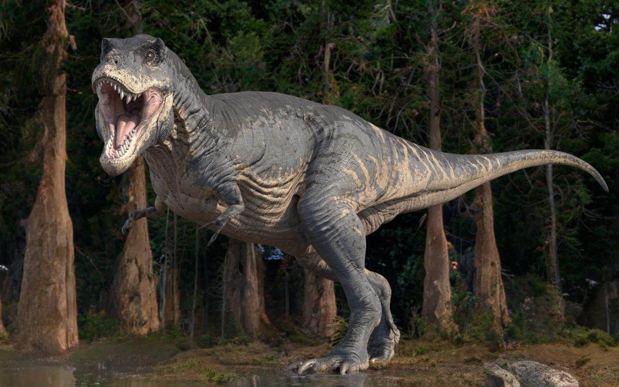 The T-Rex has always been portrayed as a cold-blooded killer - Roger Harris/Science Photo Library RF