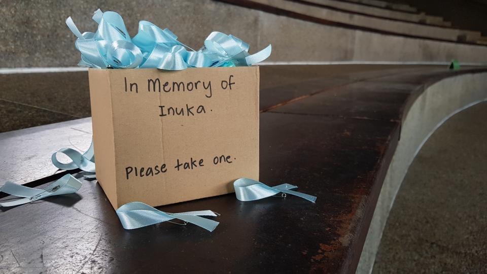 (A box of ribbon pins left by an anonymous visitor on 26 April, 2018, ahead of Inuka’s memorial. PHOTO: Wildlife Reserves Singapore)