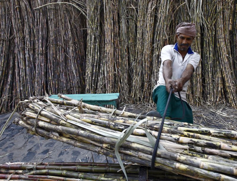 A labourer ties a bundle of sugarcane on a rickshaw to transport it at a wholesale sugarcane market in Kolkata, India, May 4, 2015. REUTERS/Rupak De Chowdhuri
