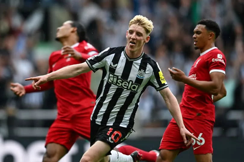 NEWCASTLE UPON TYNE, ENGLAND - AUGUST 27: Anthony Gordon of Newcastle United (10) celebrates after scoring opening goal during the Premier League match between Newcastle United and Liverpool FC at St. James Park on August 27, 2023 in Newcastle upon Tyne, England. (Photo by Serena Taylor/Newcastle United via Getty Images)