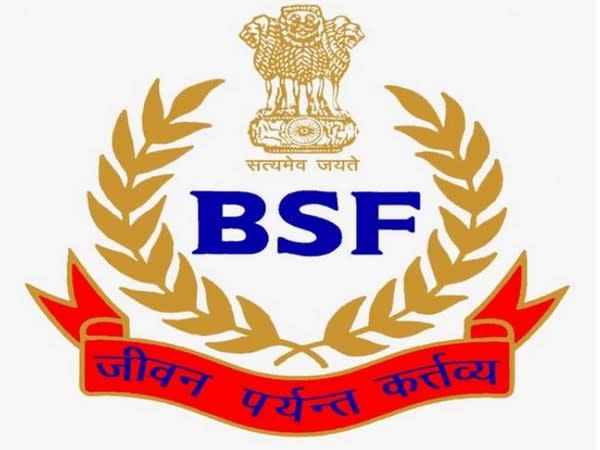 BSF logo