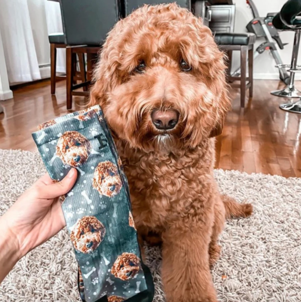 <h2>Customized Dog Socks<br></h2><br>The same goes for a pair of socks. <br><br><br><strong>PetPartyCo</strong> Customized Dog Socks - Put Your Cute Dog on Custom Sock, $, available at <a href="https://go.skimresources.com/?id=30283X879131&url=https%3A%2F%2Fwww.etsy.com%2Flisting%2F601684929%2Fcustomized-dog-socks-put-your-cute-dog" rel="nofollow noopener" target="_blank" data-ylk="slk:Etsy" class="link rapid-noclick-resp">Etsy</a>