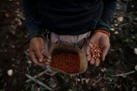 The Wider Image: As crops fail, Indonesia's Sumba seeks lifeline in weaving, fishing