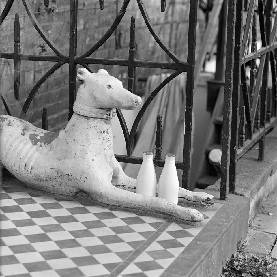 Stone greyhound and milk bottles, Duncan Terrace, Islington, London (1962) by John Gay