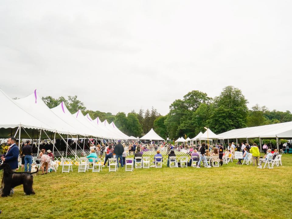 a wide shot of the show grounds