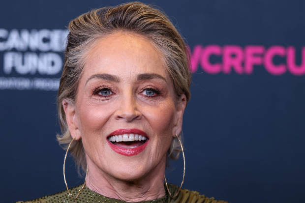 <p>IMAGO / NurPhoto</p><p><em>Basic Instinct</em> actress <strong>Sharon Stone </strong>started painting as a little girl, but she put her practice largely to the side when her acting career took off in the late ‘80s/early ‘90s, and didn't pick it back up until the COVID-19 pandemic. </p><p>In March 2023, she had <a href="https://www.theartnewspaper.com/2023/03/27/sharon-stone-interview-solo-exhibition-allouche-gallery" rel="nofollow noopener" target="_blank" data-ylk="slk:her debut show;elm:context_link;itc:0;sec:content-canvas" class="link ">her debut show</a>, <em>Shedding</em>, which refers largely to the loss she's experienced of late, including the passing of her 11-month-old nephew in 2021 and the death of her brother (her late nephew's father) in early 2023.</p><p><strong>Related: <a href="https://www.yahoo.com/lifestyle/sharon-stone-shares-candid-state-181911173.html" data-ylk="slk:Sharon Stone Shares Candid State of Her Career Following Stroke;elm:context_link;itc:0;sec:content-canvas;outcm:mb_qualified_link;_E:mb_qualified_link;ct:story;" class="link  yahoo-link">Sharon Stone Shares Candid State of Her Career Following Stroke</a></strong></p>