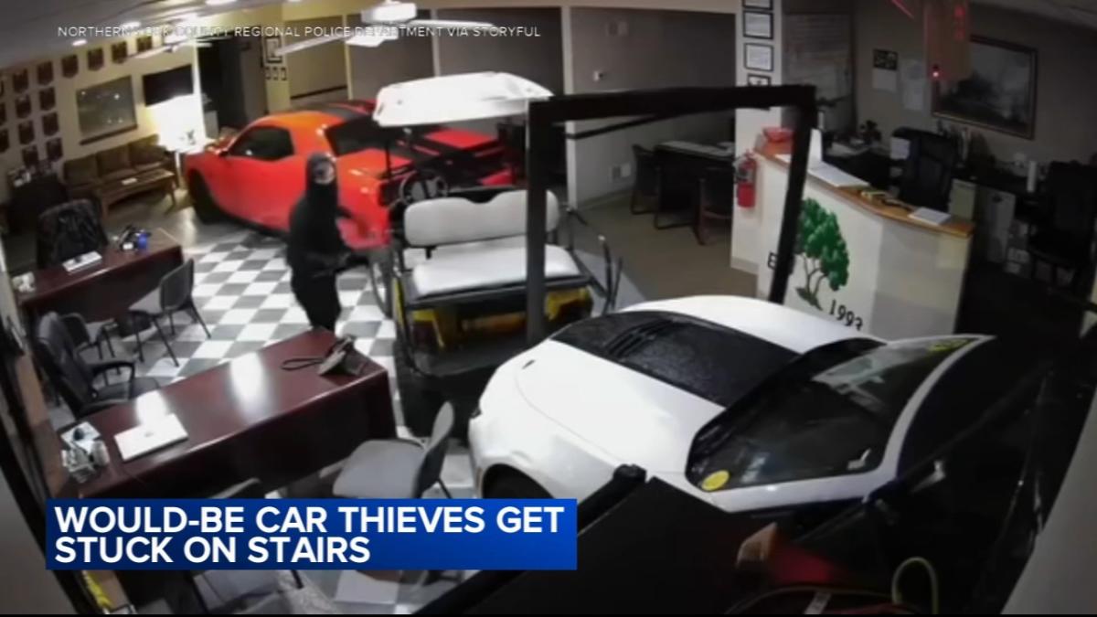 2 would-be car thieves ram dealership in heist gone wrong