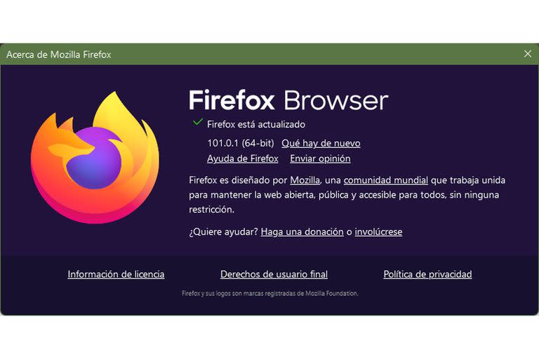 La versión actual del navegador de la Fundación Mozilla