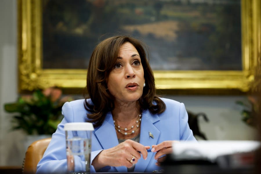 Vice President Kamala Harris speaks during the start of a meeting with the Biden administration’s Task Force on Reproductive Health Care Access in the Roosevelt Room of the White House on April 12, 2023, in Washington, DC. (Photo by Anna Moneymaker/Getty Images)