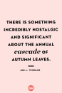 <p>There is something incredibly nostalgic and significant about the annual cascade of autumn leaves.</p>