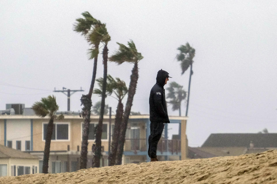 Wind blows the palm trees in the background, a man stands on the storm surge protection dune during a rainstorm in Seal Beach, Calif., Thursday, Jan. 5, 2023. (AP Photo/Ringo H.W. Chiu)