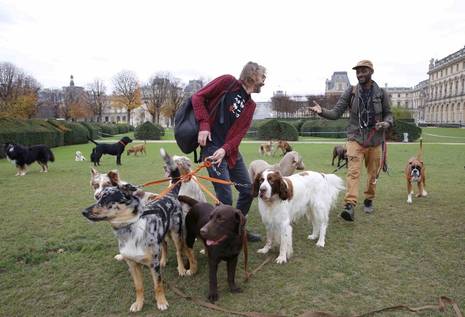 <em>Alex (izquierda) y Titi se dedican a pasear perros. En esta imagen se les ve cerca del Museo Louvre de París, Francia. Foto: Jacky Nagelen (Reuters)</em>