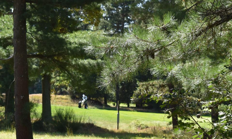 A golfer plays Wednesday at Pine Valley Golf Course in April 2021.